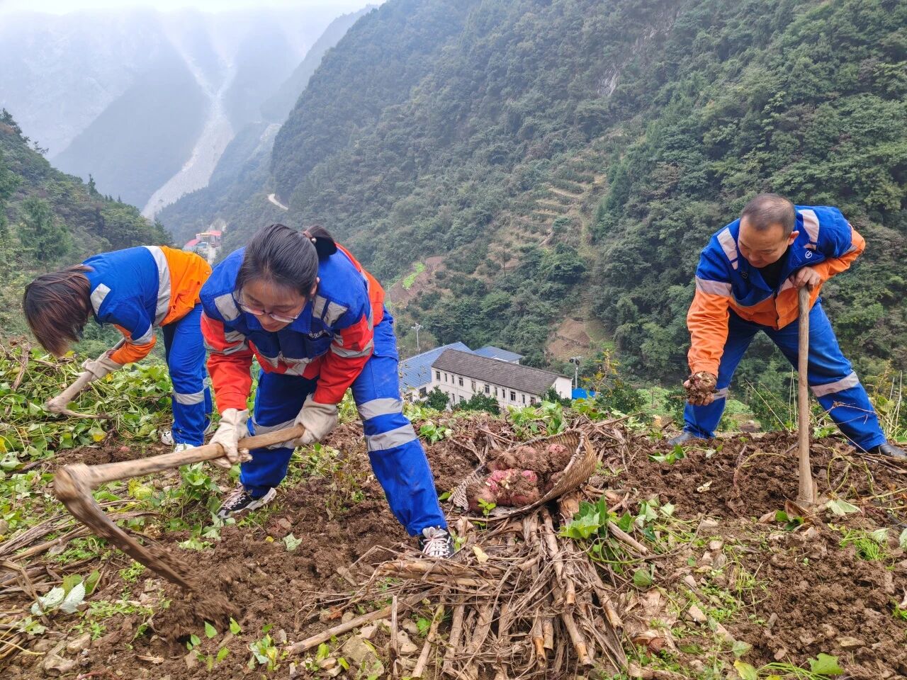 �ƶ�����4118welcome(�й���)�ٷ���վ-��¼���