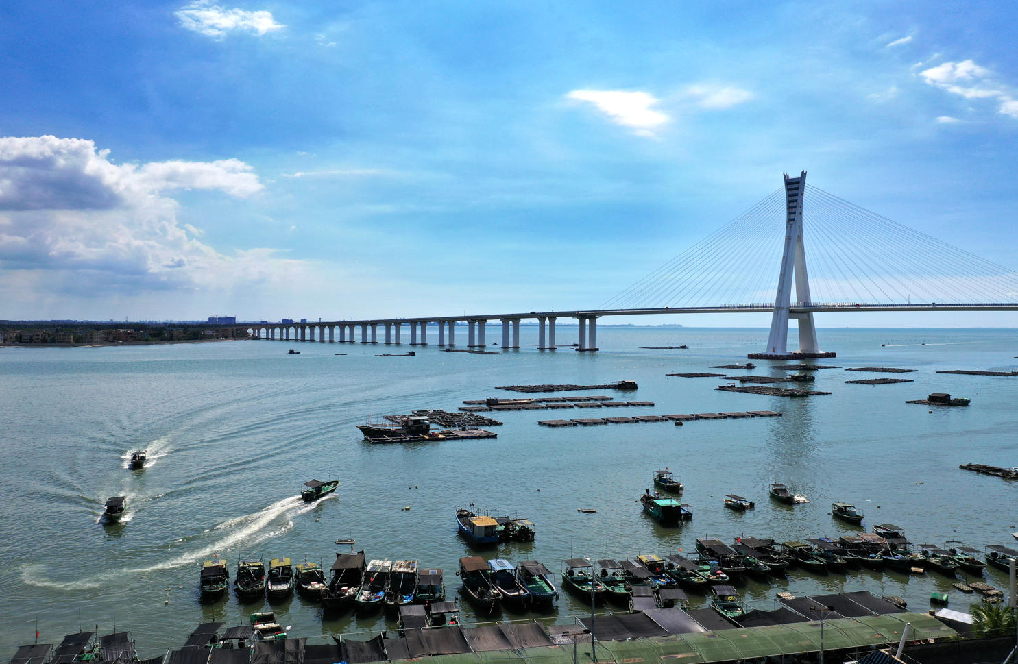 �ƶ�����4118welcome(�й���)�ٷ���վ-��¼���